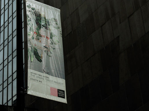 the urban forest project 3