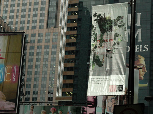 the urban forest project 4